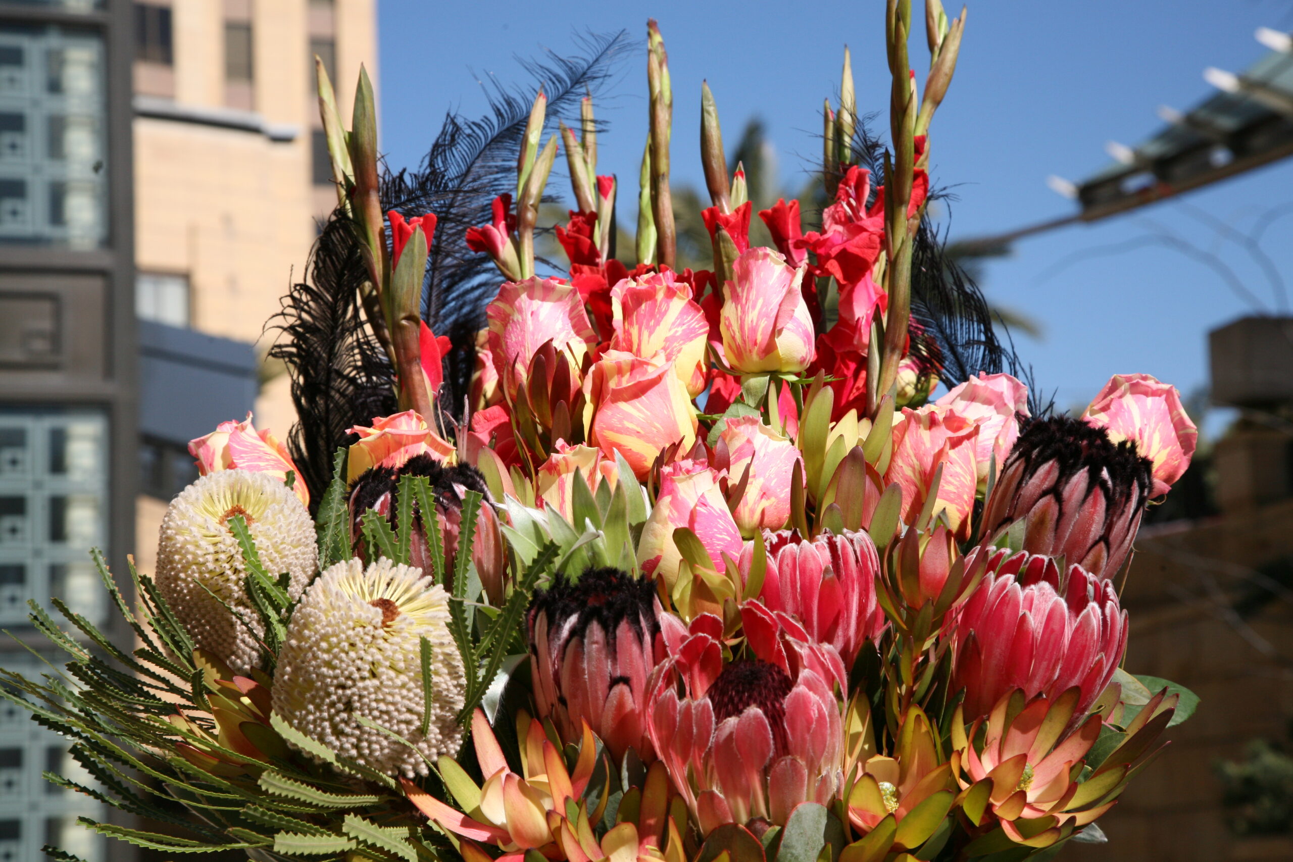 America-Los Angels03