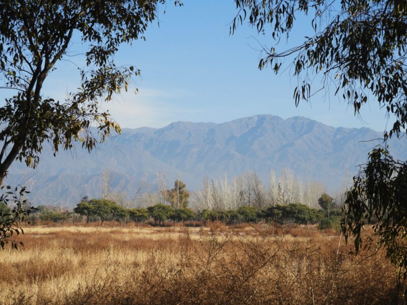 DSCN1276-2アルゼンチン