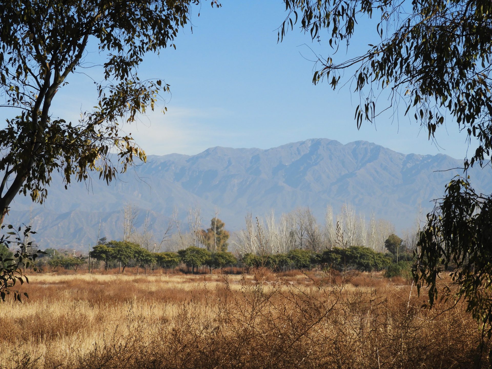 DSCN1276-2アルゼンチン