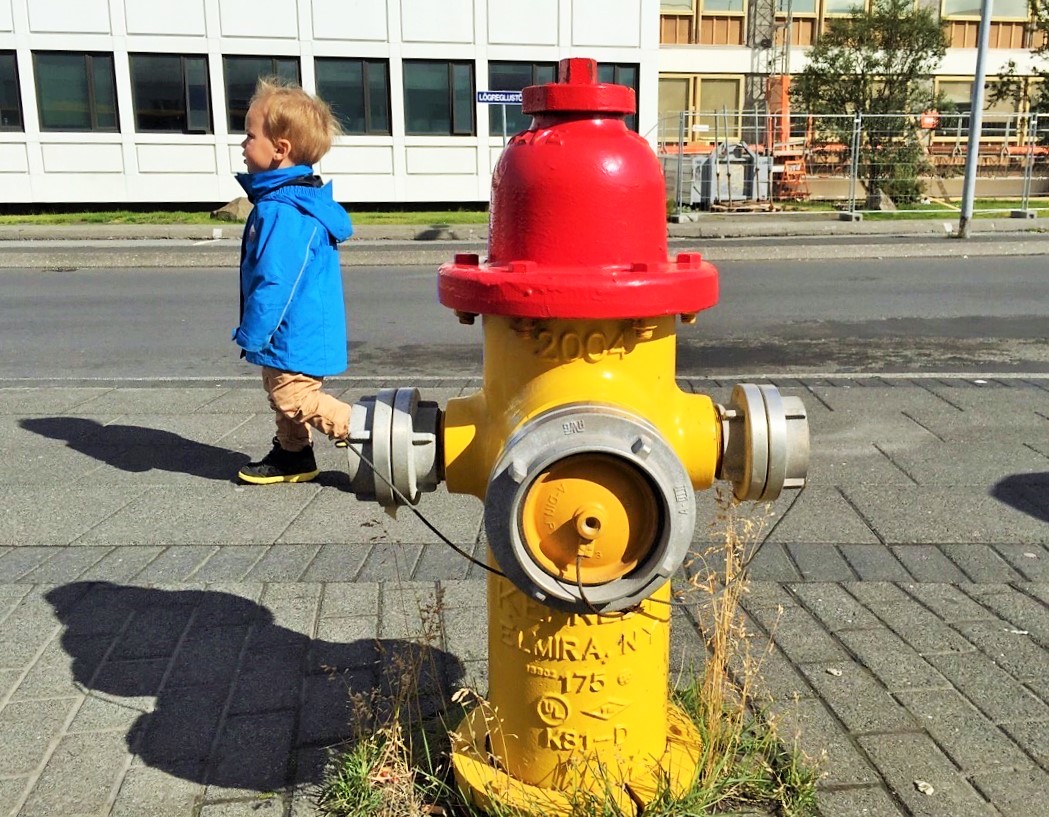 IMG_2353-2アイスランド