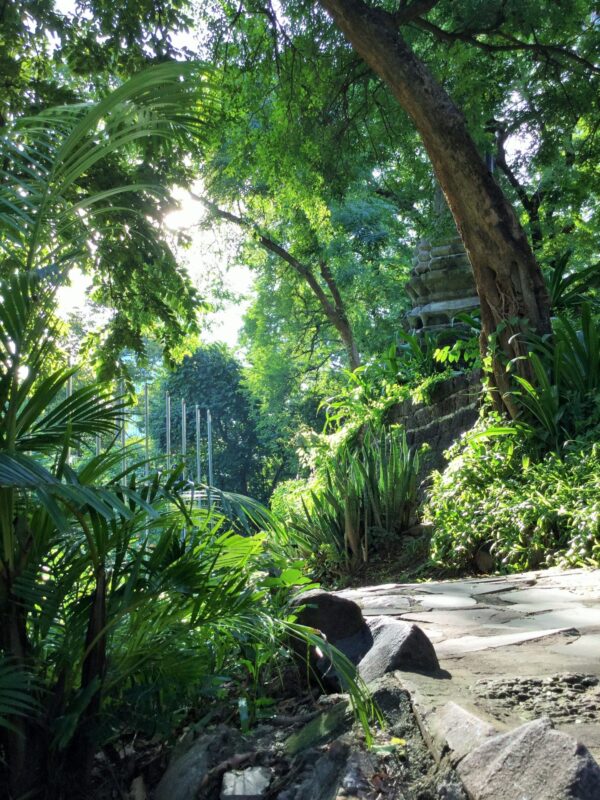 IMG_4188-2カンボジア