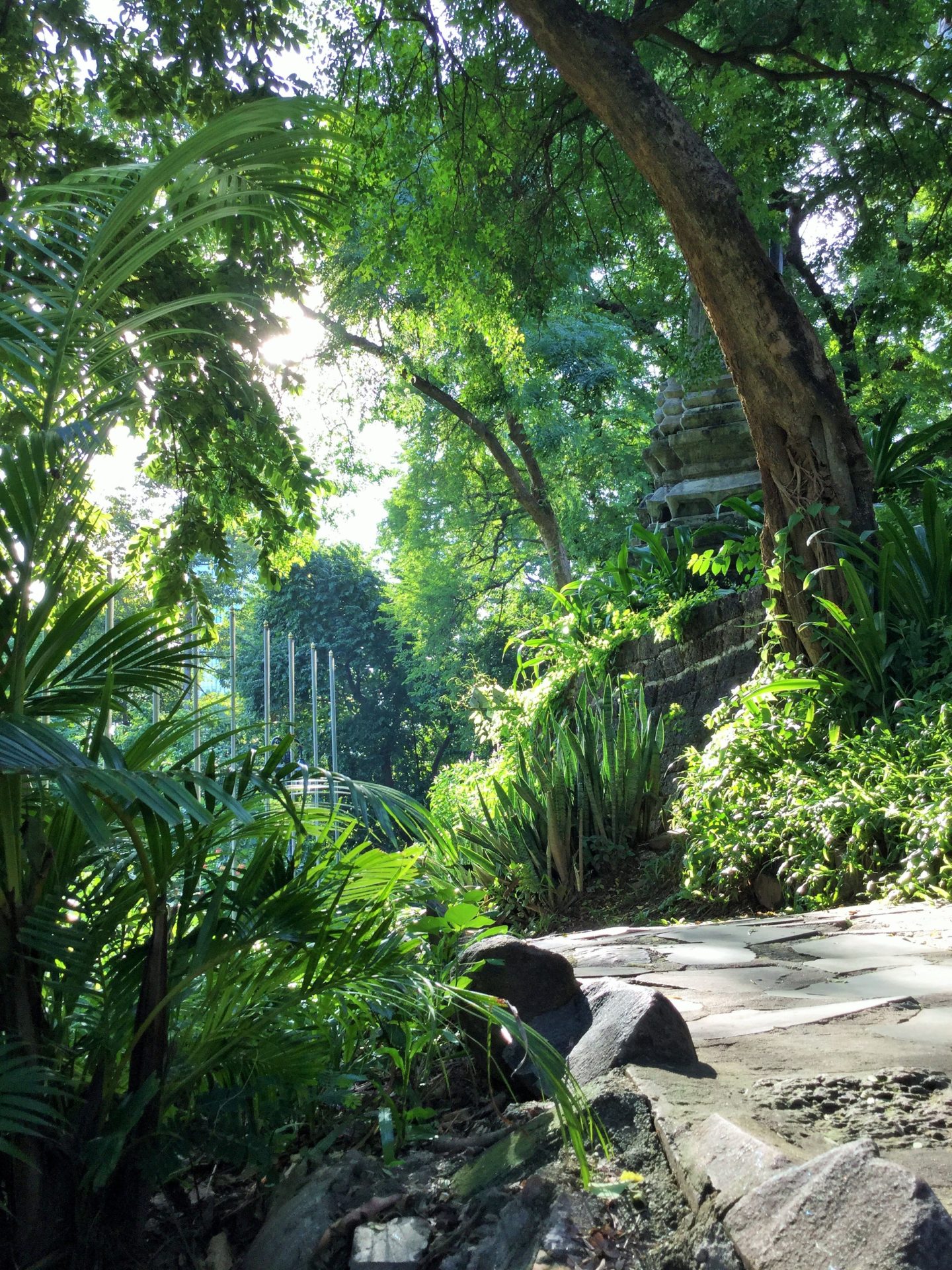 IMG_4188-2カンボジア